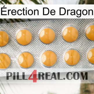 Érection De Dragon levitra1